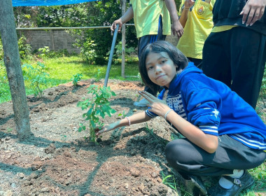 จัดโครงการส่งเสริมการเรียนรู้กิจกรรมสหกรณ์นักเรียน ... พารามิเตอร์รูปภาพ 13